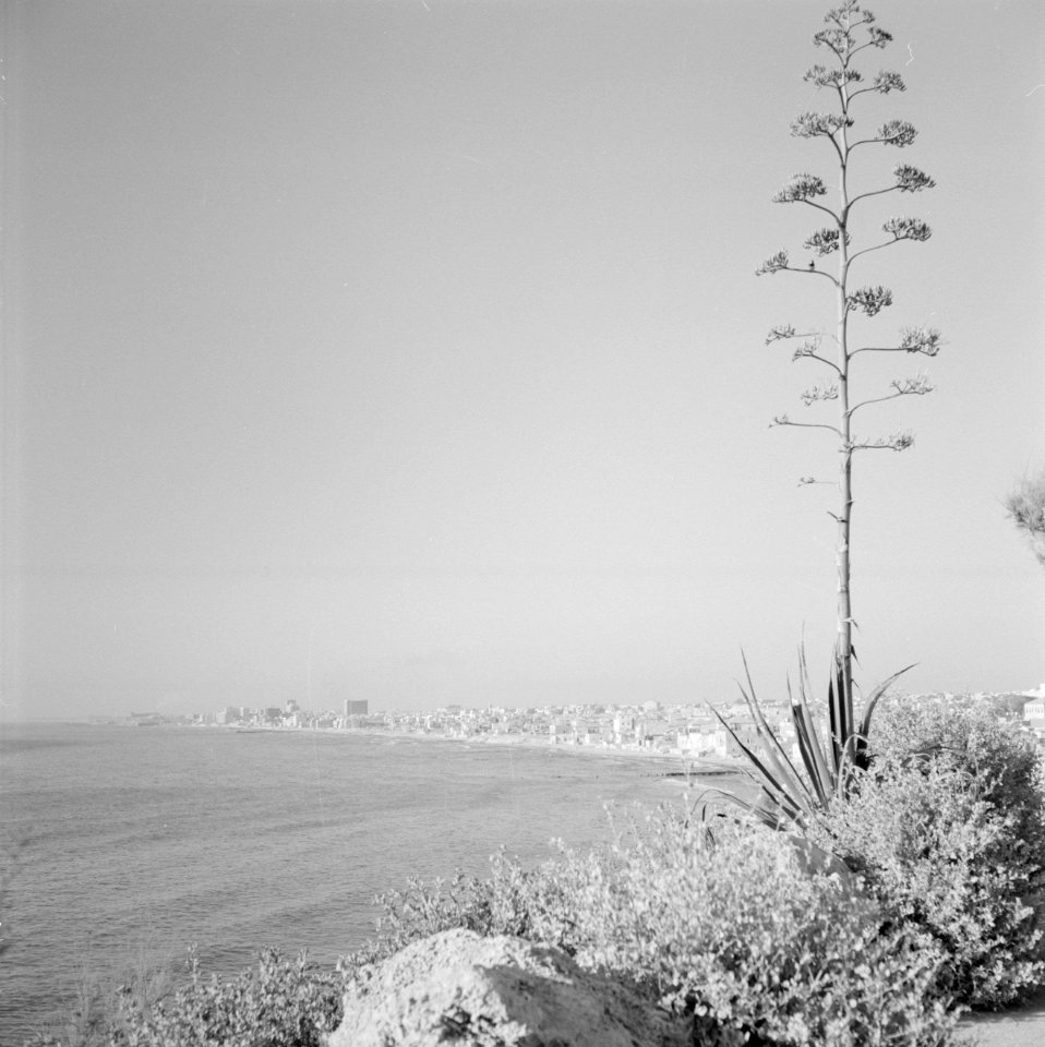 Kust bij Jaffa, Bestanddeelnr 255-2940