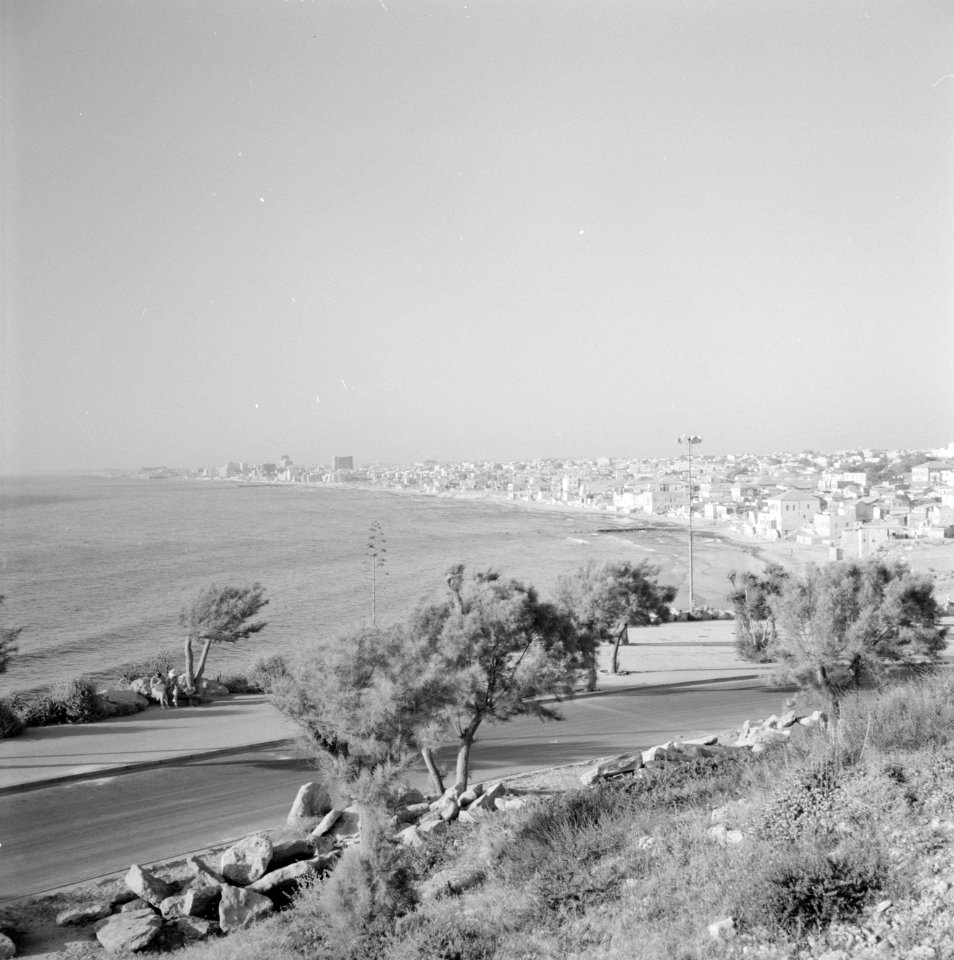 Kust bij Jaffa, Bestanddeelnr 255-2938