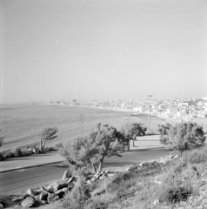 Kust bij Jaffa, Bestanddeelnr 255-2938