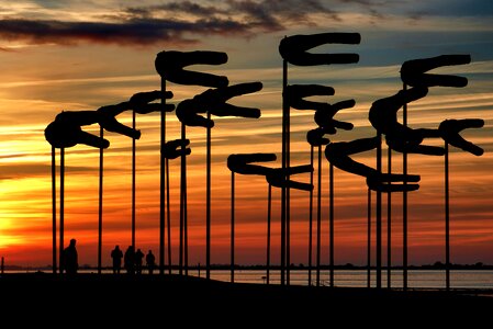 North sea world natural heritage nordfriesland photo