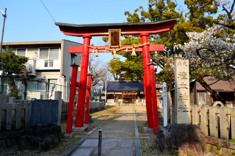 Kusumoto-jinja (Kinomoto, Yao), torii