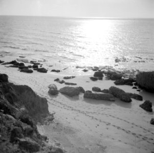 Kuststrook bij de haven van Caesarea met archeologische muurresten op het strand, Bestanddeelnr 255-1499
