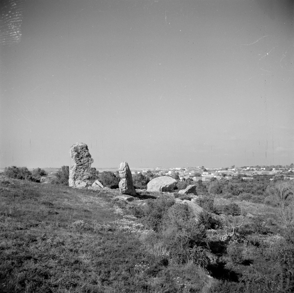 Kuststrook bij Caesarea met archelogische muurresten met in de verte een dorp, Bestanddeelnr 255-1491