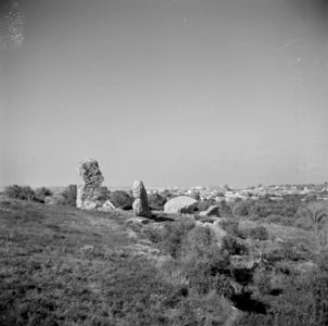 Kuststrook bij Caesarea met archelogische muurresten met in de verte een dorp, Bestanddeelnr 255-1491