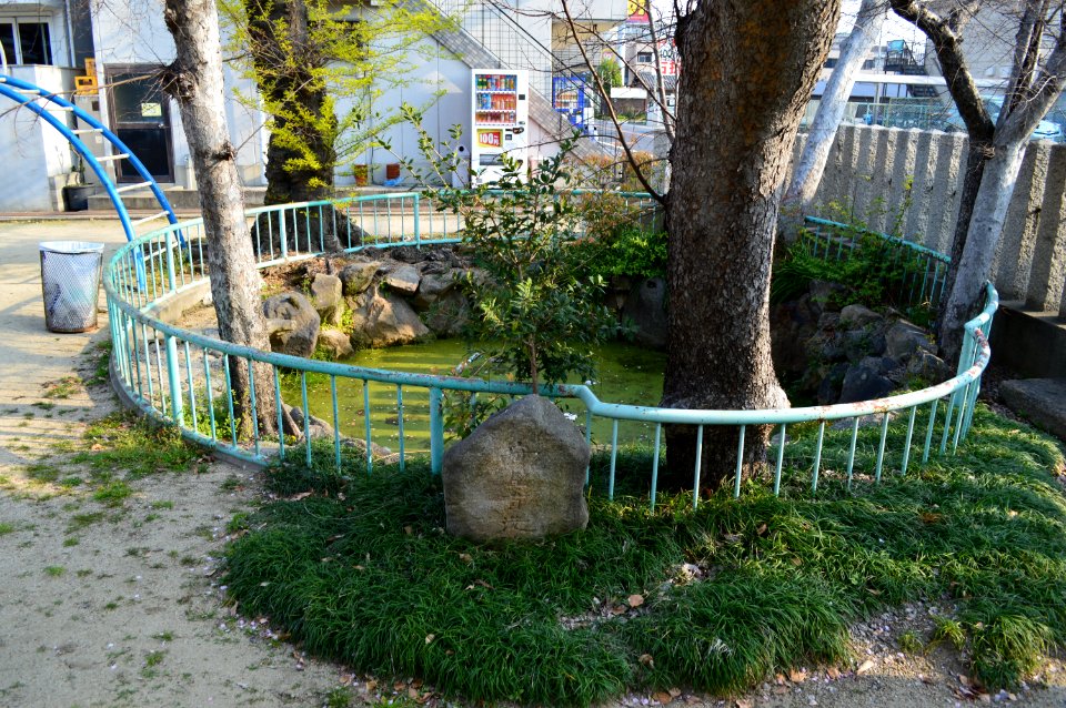 Kusumoto-jinja (Kita-kinomoto, Yao), ike