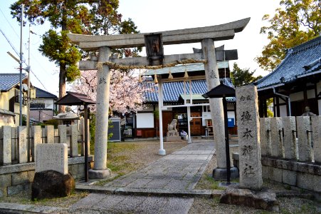 Kusumoto-jinja (Minami-kinomoto, Yao), torii