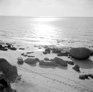 Kuststrook bij de haven van Caesarea met archeologische muurresten op het strand, Bestanddeelnr 255-1497