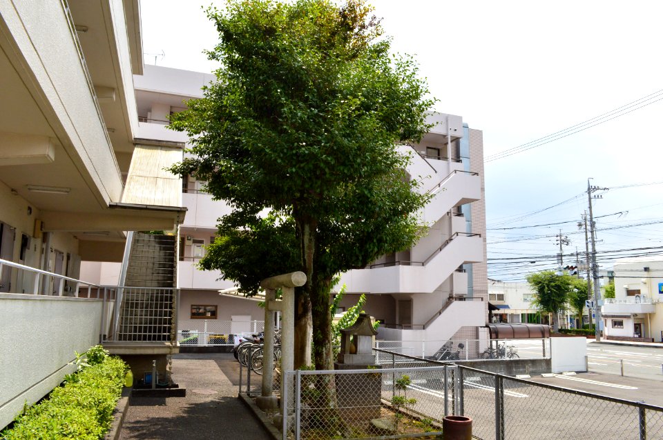 Kusanagi-jinja (Kusanagi, Shimizu-ku, Shizuoka) furumiya