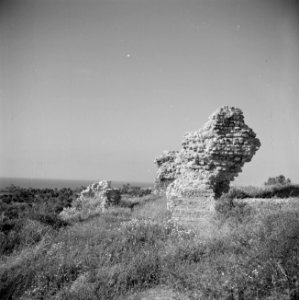 Kuststrook bij Caesarea met archelogische muurresten, Bestanddeelnr 255-1488