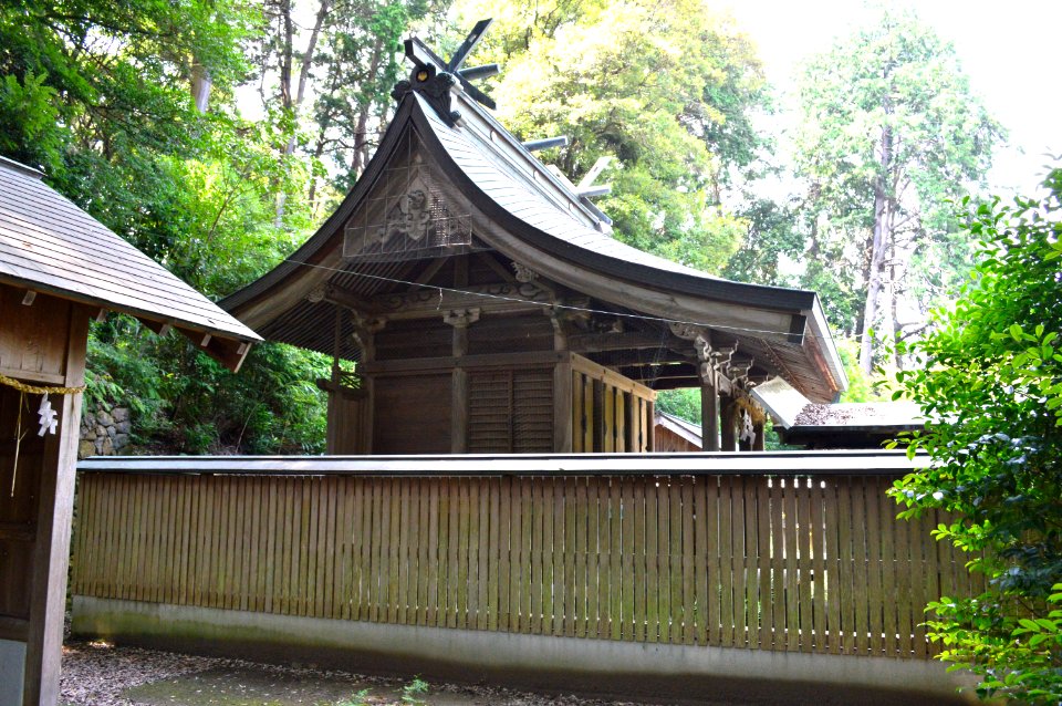 Kusanagi-jinja (Kusanagi, Shimizu-ku, Shizuoka) honden