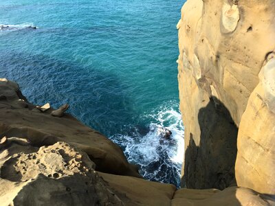 Elephant trunk rock coast reef rock