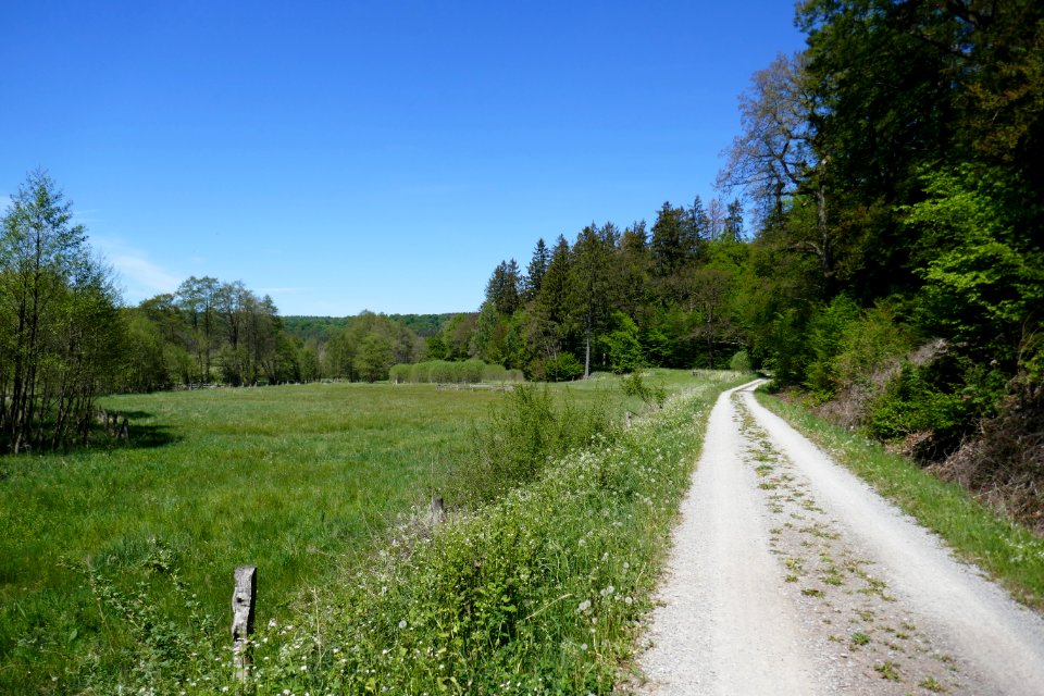 Lühlingsbachtal - 5