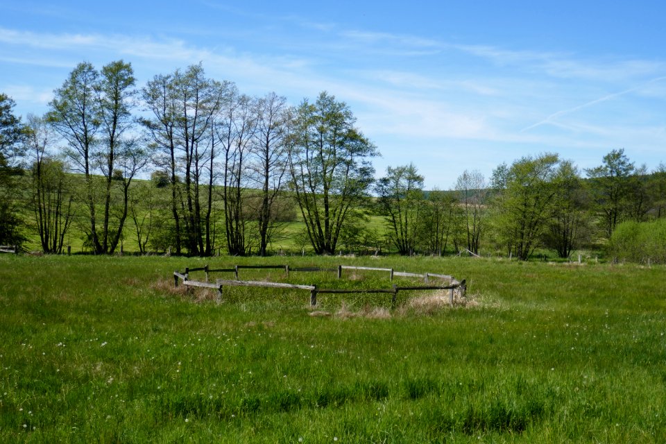 Lühlingsbachtal - 6