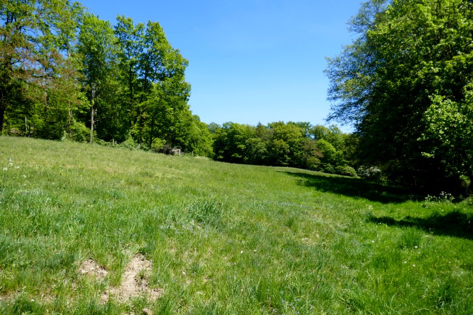 Lühlingsbach-Nettetal - 3