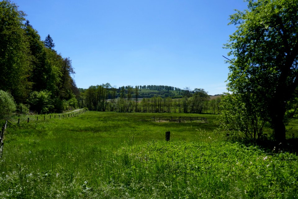 Lühlingsbachtal - 8