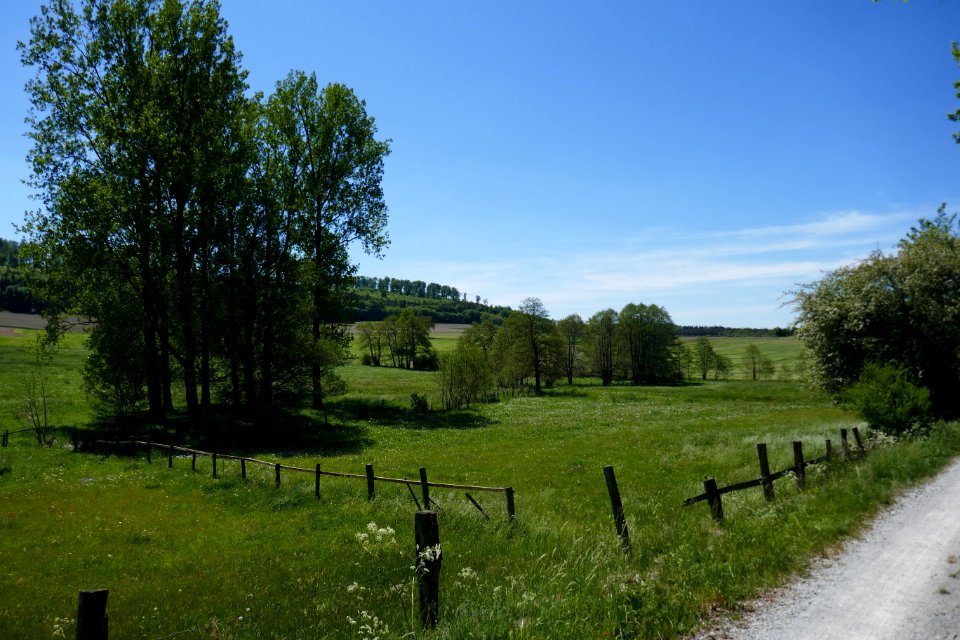 Lühlingsbachtal - 3