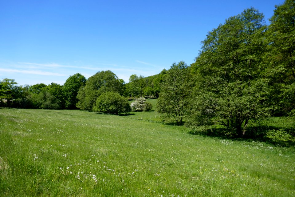 Lühlingsbach-Nettetal - 2