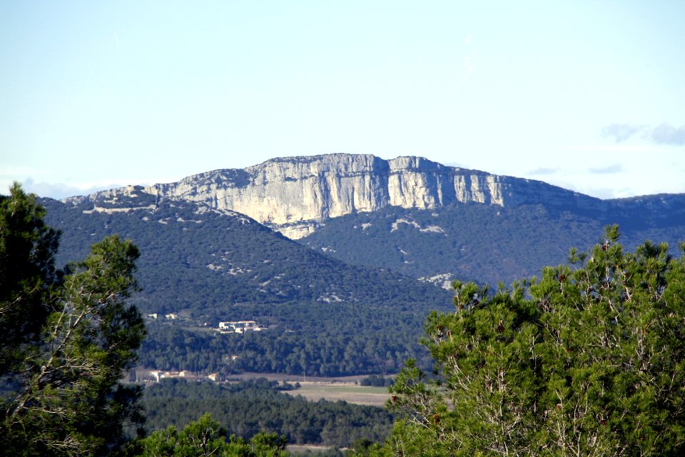 La falaise de l'Hortus