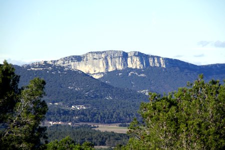 La falaise de l'Hortus