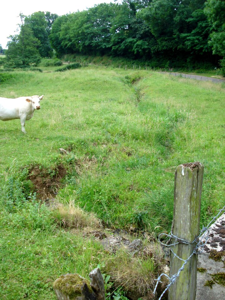 La Blaine près de sa source à Saint-Christophe-en-Brionnais