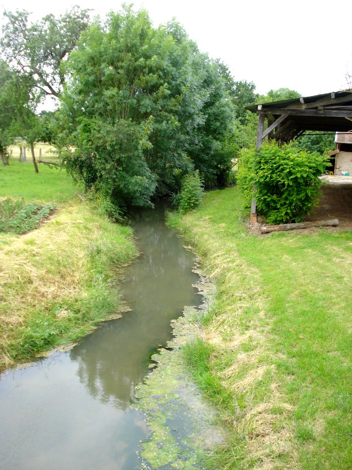 La Boderonne à Villy-en-Trodes