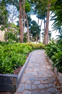 La Estancia Park in Chacao 2
