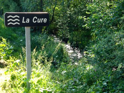 La Cure près de sa source à Gien-sur-Cure