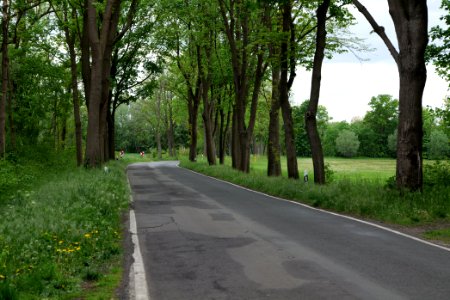 L17 in Fehrbellin 2020-05-15 01