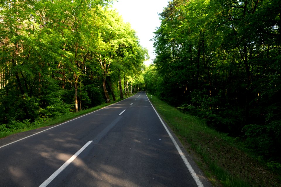 L23 in Temmen-Ringenwalde 2021-05-29 02