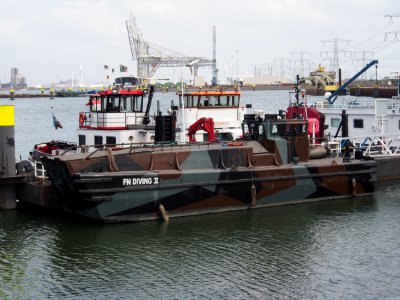 L9540 FN Diving II