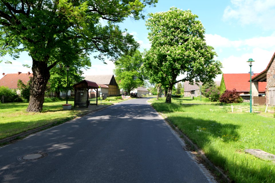 L15 in Berkholz 2021-05-29 21