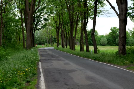 L17 in Fehrbellin 2020-05-15 02