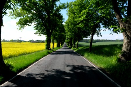 L24 Avenue in Wichmannsdorf 2021-05-29 02