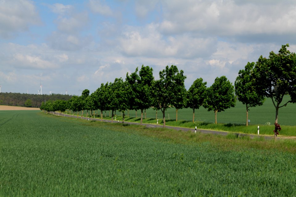 L15 in Berkholz 2021-05-29 25