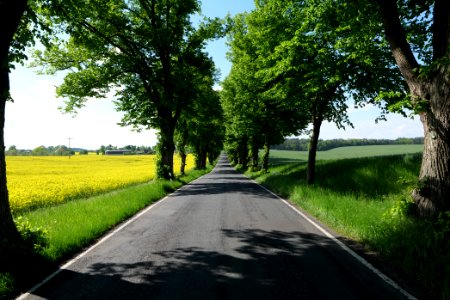 L24 Avenue in Wichmannsdorf 2021-05-29 01