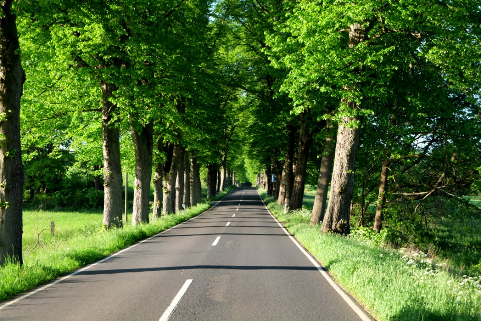 L23 in Temmen-Ringenwalde 2021-05-29 13