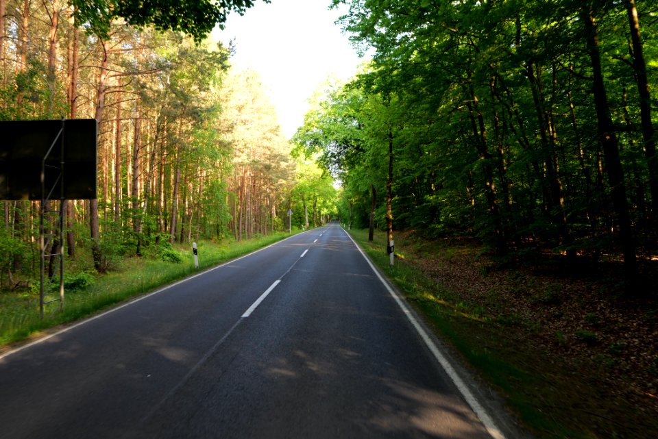 L23 in Temmen-Ringenwalde 2021-05-29 01