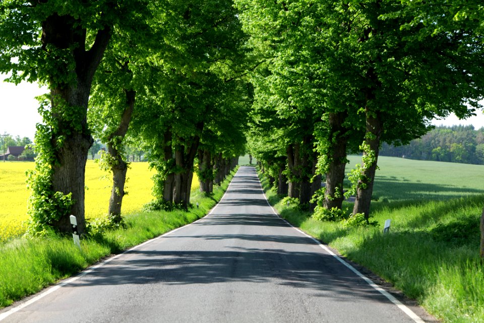 L24 Avenue in Wichmannsdorf 2021-05-29 05