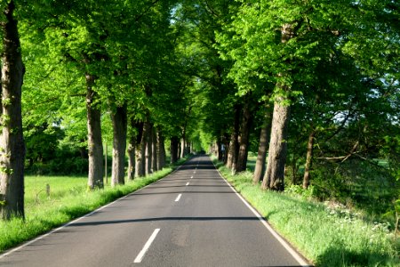 L23 in Temmen-Ringenwalde 2021-05-29 12