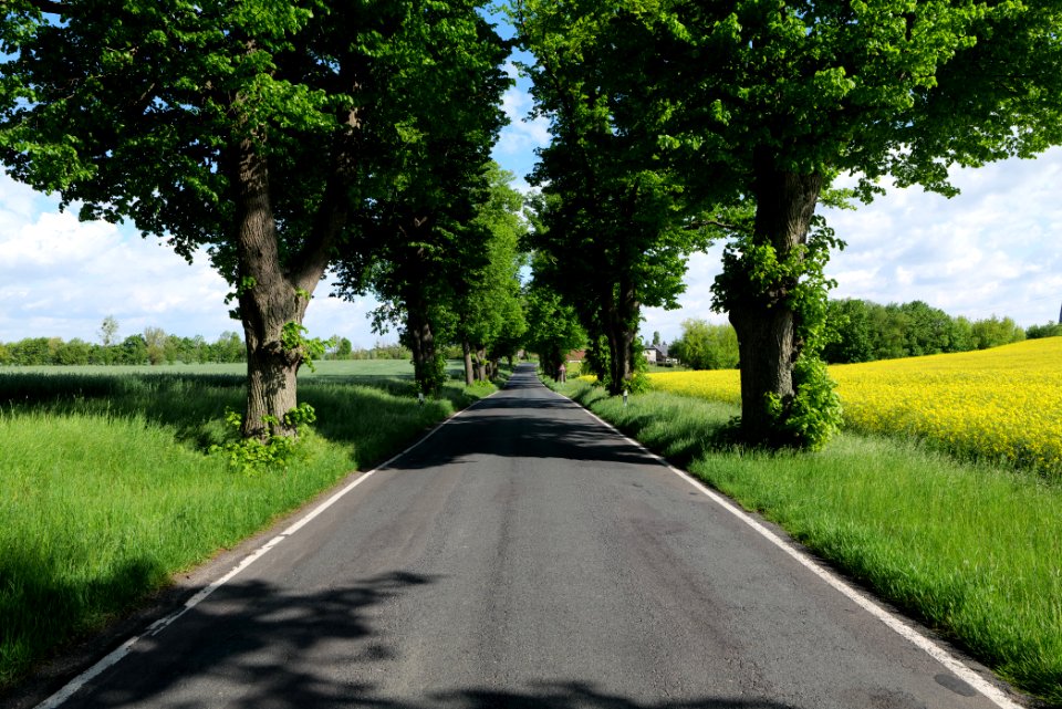 L24 Avenue in Wichmannsdorf 2021-05-29 03