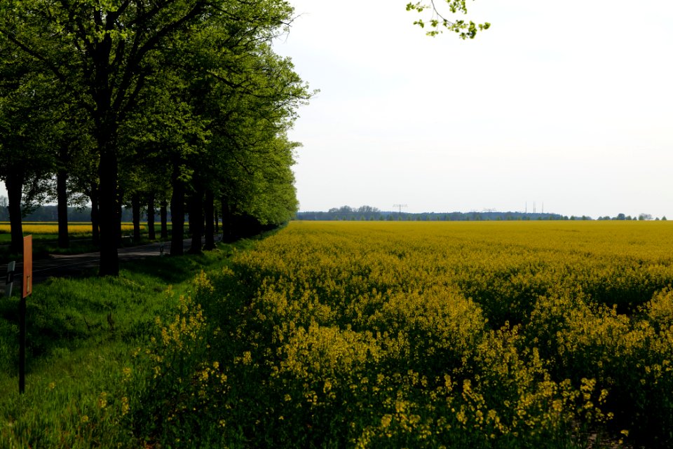 L402 allee Waltersdorf 2021-05-11 02