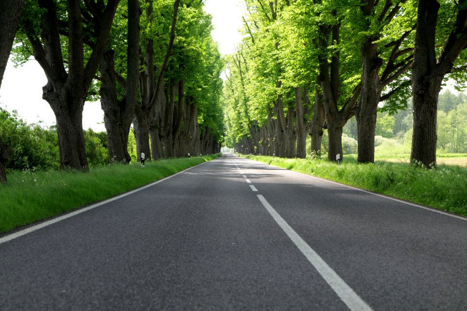 L15 Avenue in Gollmitz 2021-05-29 18