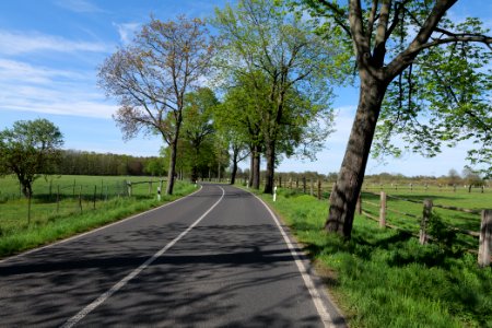 L79 in Horstfelde 2021-05-09 04