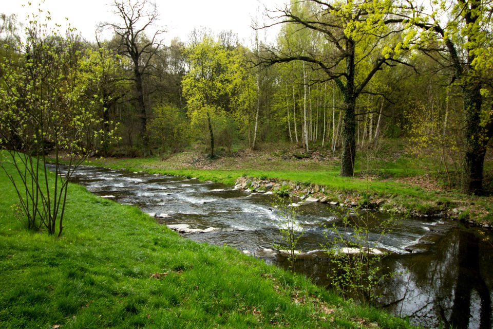 Löbauer Wasser am Eisebahnviadukt in Löbau