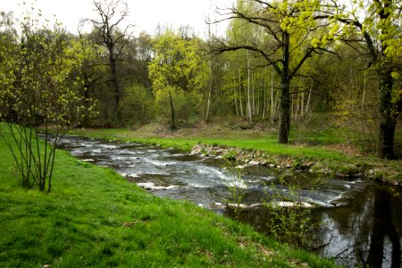 Löbauer Wasser am Eisebahnviadukt in Löbau