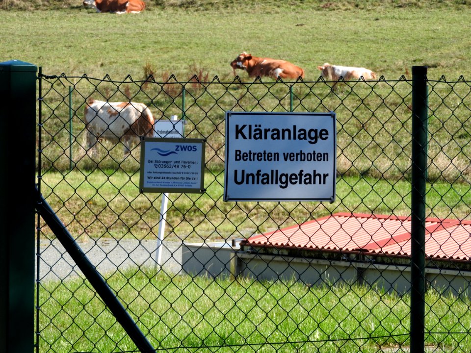 Löhma 16