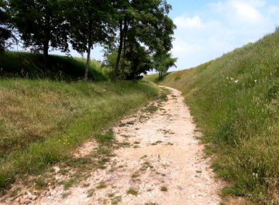 Lößhohlweg bei Granau ND (2)