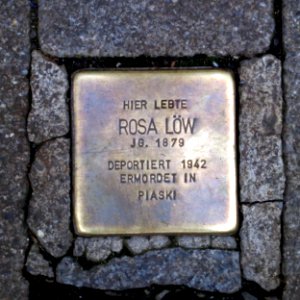 Löw - Stein - IMG 2074 v1