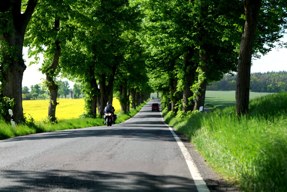 L24 Avenue in Wichmannsdorf 2021-05-29 11