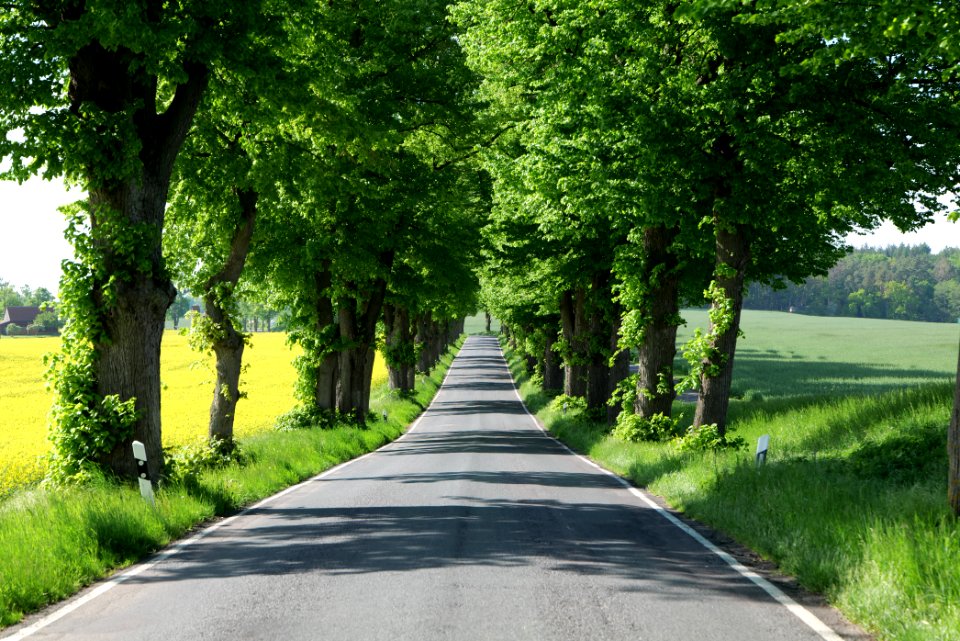 L24 Avenue in Wichmannsdorf 2021-05-29 04